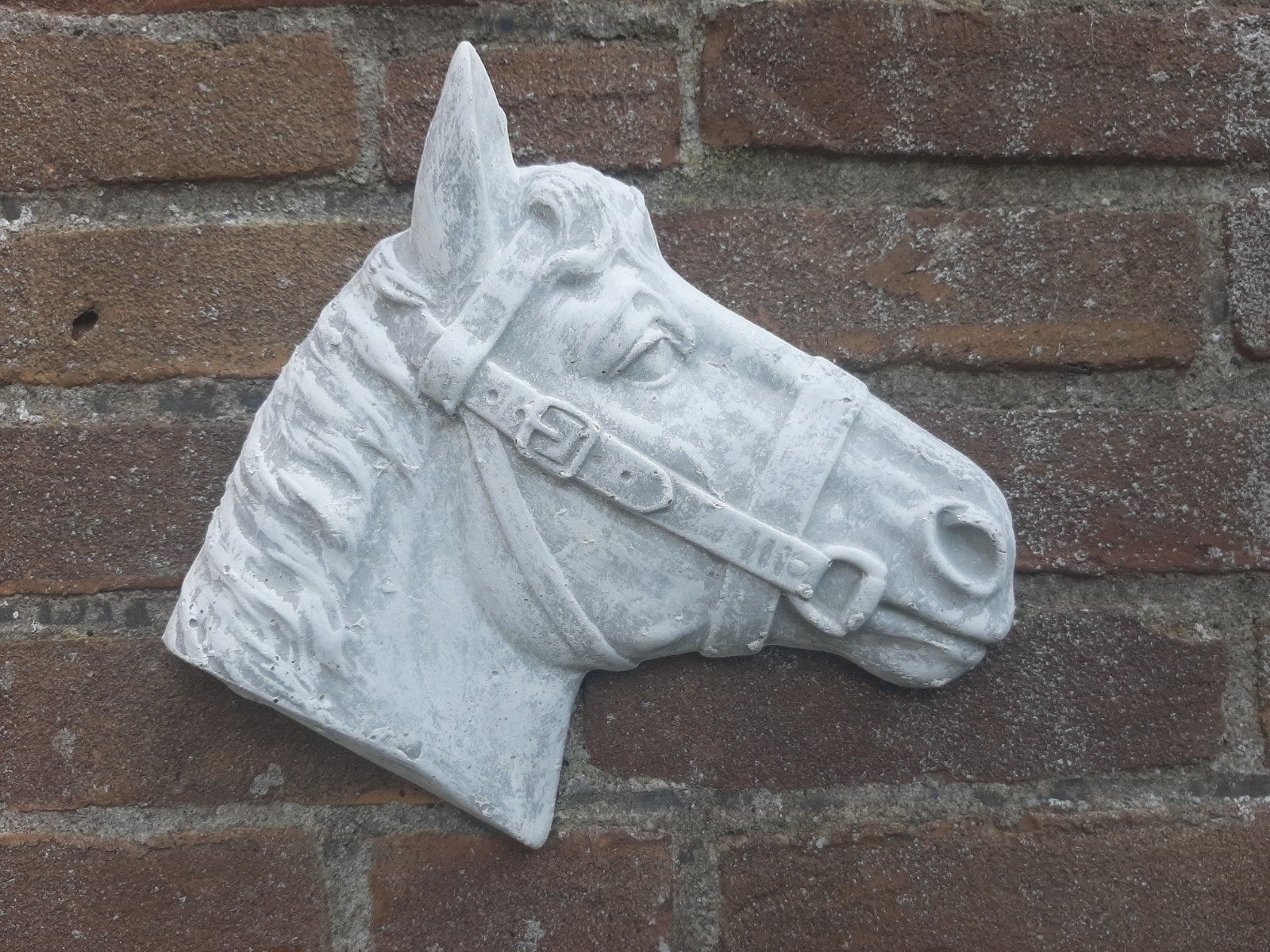 Paard wanddecoratie betonnen beeld tuinbeeld beton, Ophalen of Verzenden