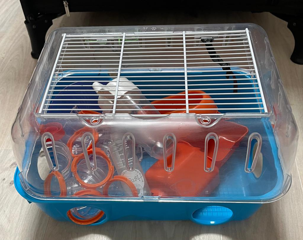 Hamsterkooi met benodigdheden, Ophalen