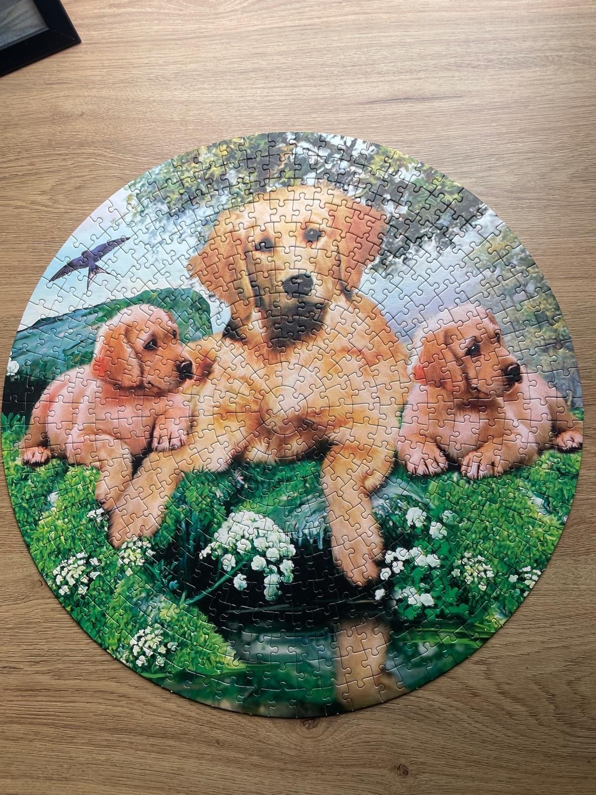 4 nieuwe puzzels (verrassingszakken) - Nu voor 5 euro!, Ophalen, Minder dan 500 stukjes, Nieuw