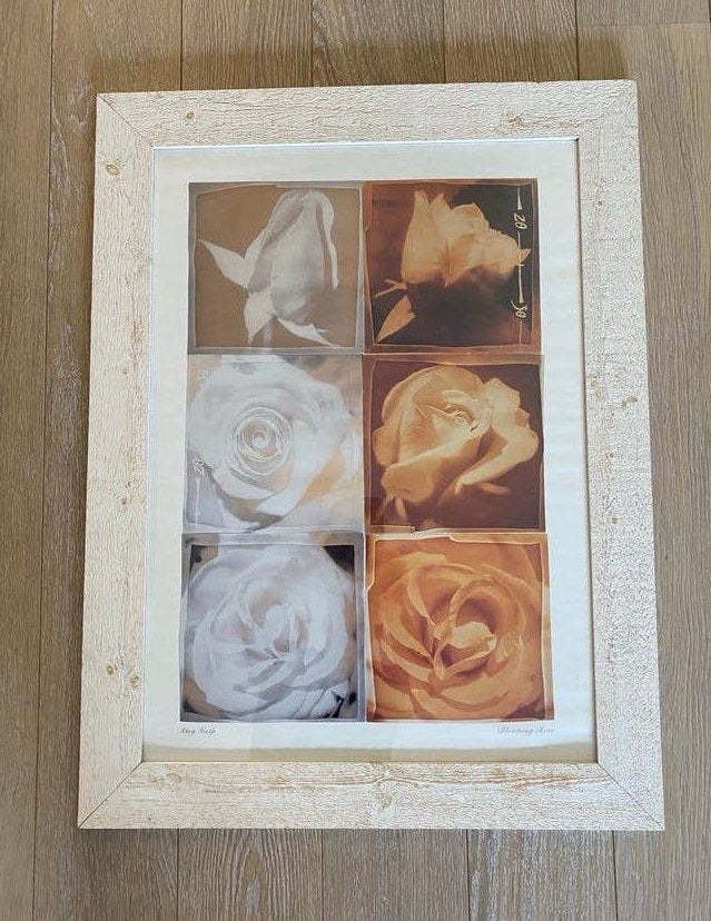 Schilderij van Amy Guip ‘Blooming Rose’ 65x85cm, nieuw, Ophalen of Verzenden, Nieuw, 50 tot 75 cm, Print
