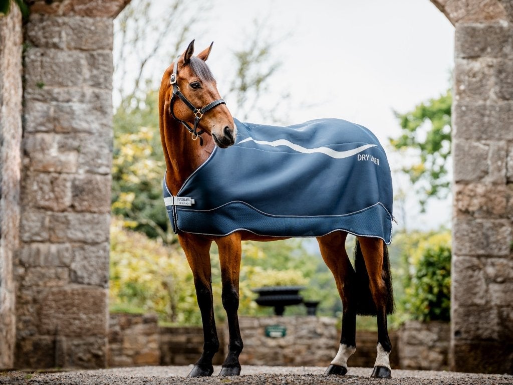 Horseware Dry Liner, stay-dry 168, 175, 183, 191,198,206,213, Nieuw, Ophalen of Verzenden, 50 g, Horseware