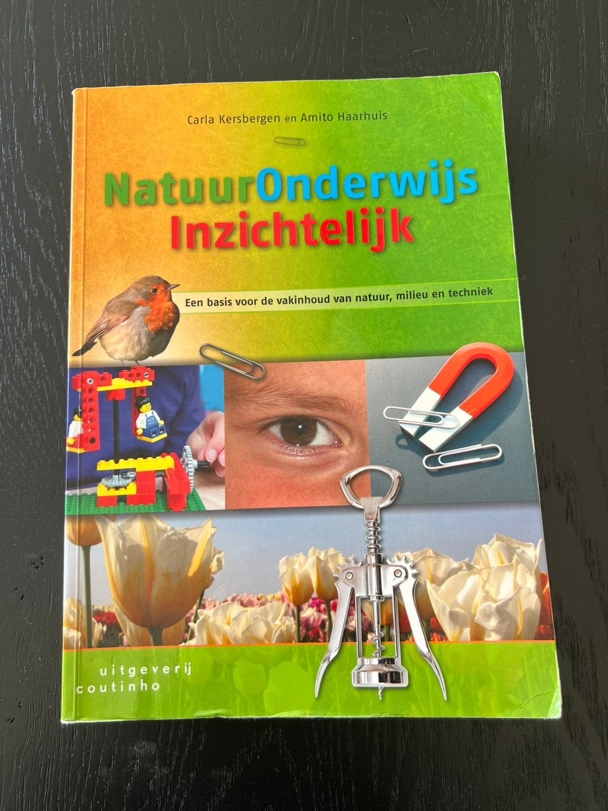 Carla Kersbergen - Natuuronderwijs inzichtelijk, Ophalen of Verzenden, Zo goed als nieuw, Carla Kersbergen; Amito Haarhuis, Natuurwetenschap