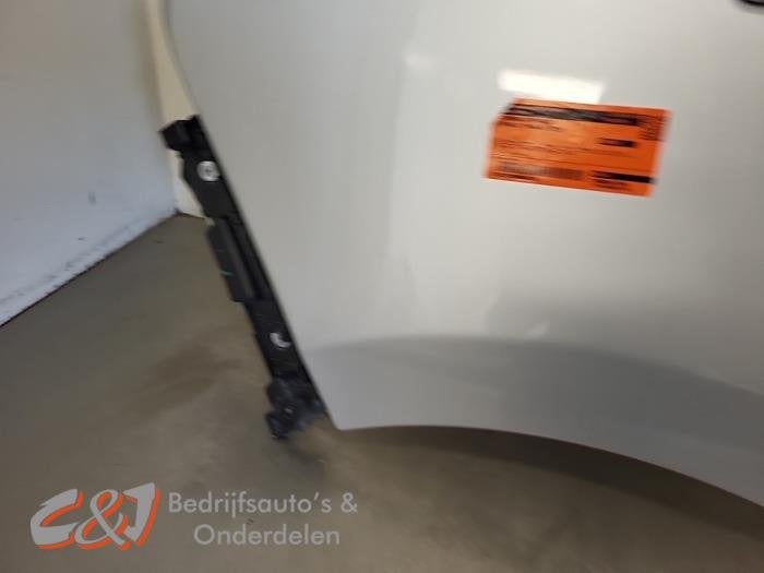 Scherm links-voor van een Renault Trafic, Gebruikt, -, Renault, -