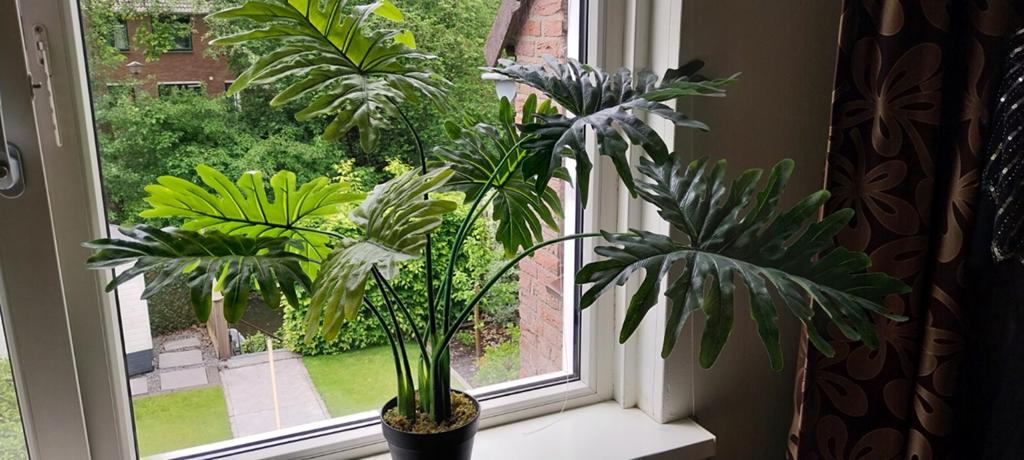 Mooie kunstplant Philodendron Selloum van Emerald., Ophalen, Groen, Kunstplant, Zo goed als nieuw