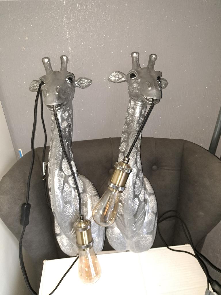 dierenlamp, Huis en Inrichting, Lampen | Tafellampen, Ophalen, Gebruikt, Kunststof, 50 tot 75 cm