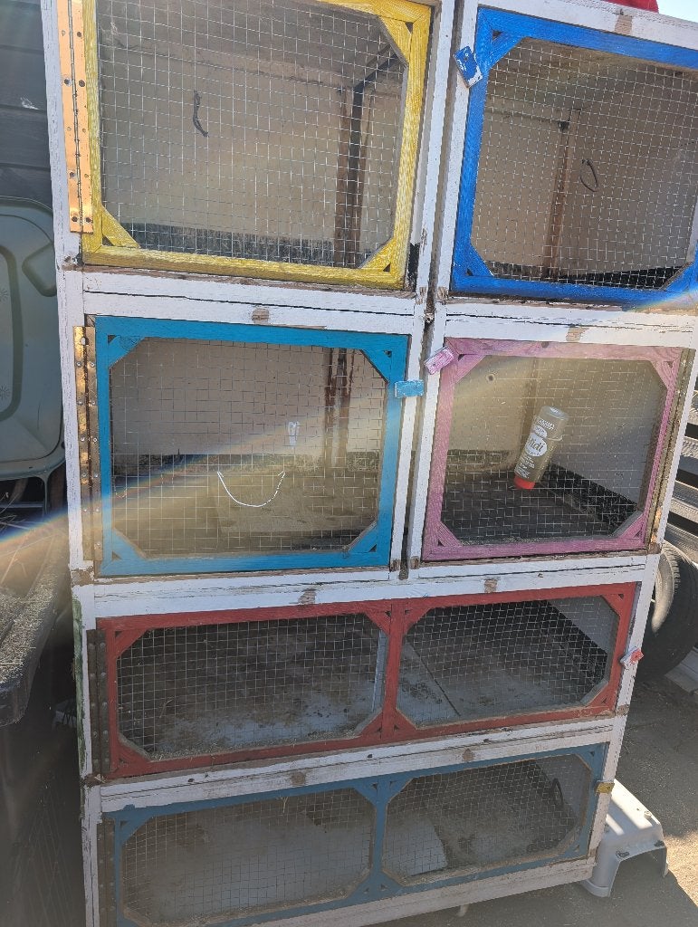 Konijnen cavia flat, Ophalen, Gebruikt, 90 cm of meer, Konijn