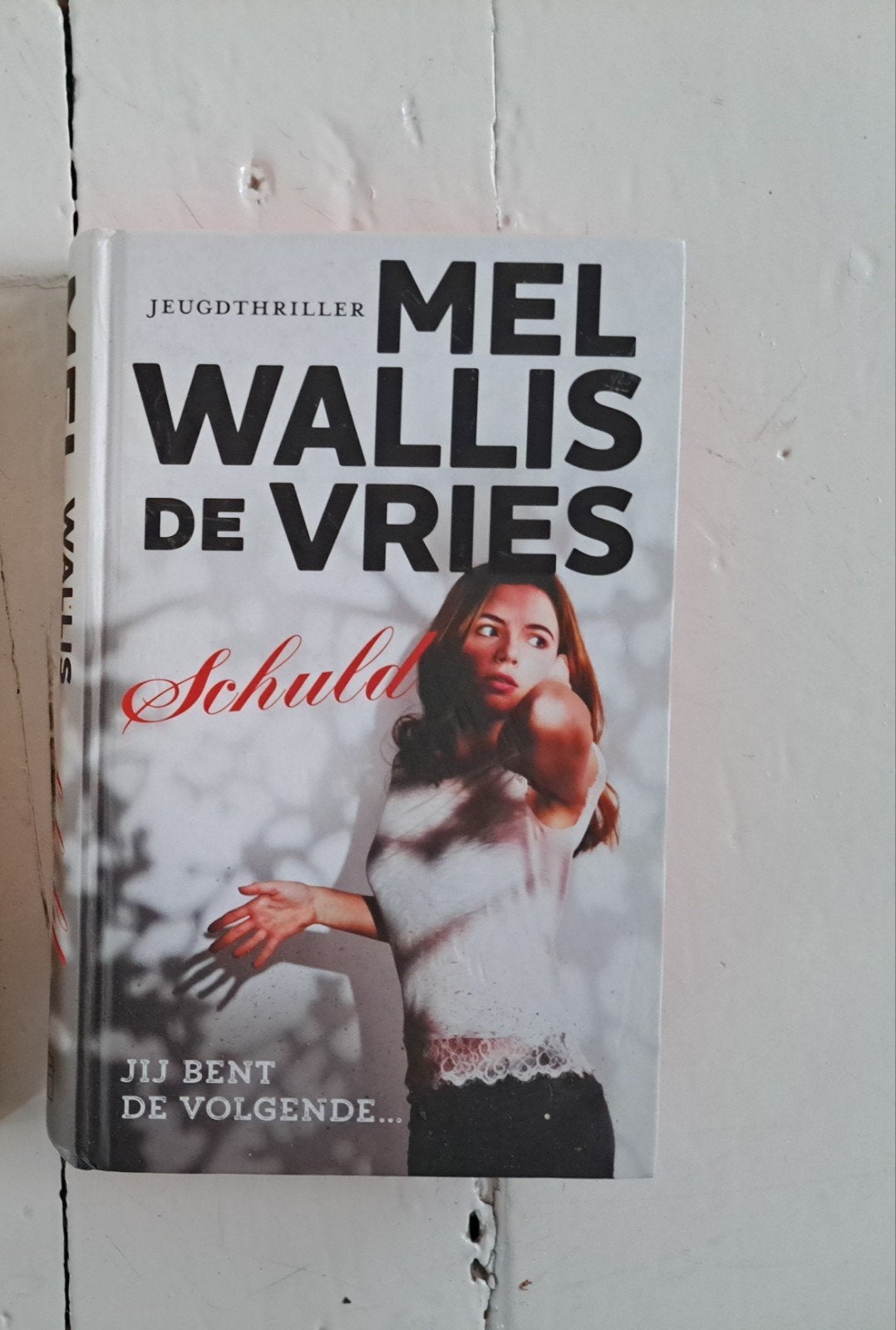Schuld van Mel Wallis de Vries1x geleze, Ophalen of Verzenden, Nederland, Mel Wallis de Vries, Zo goed als nieuw