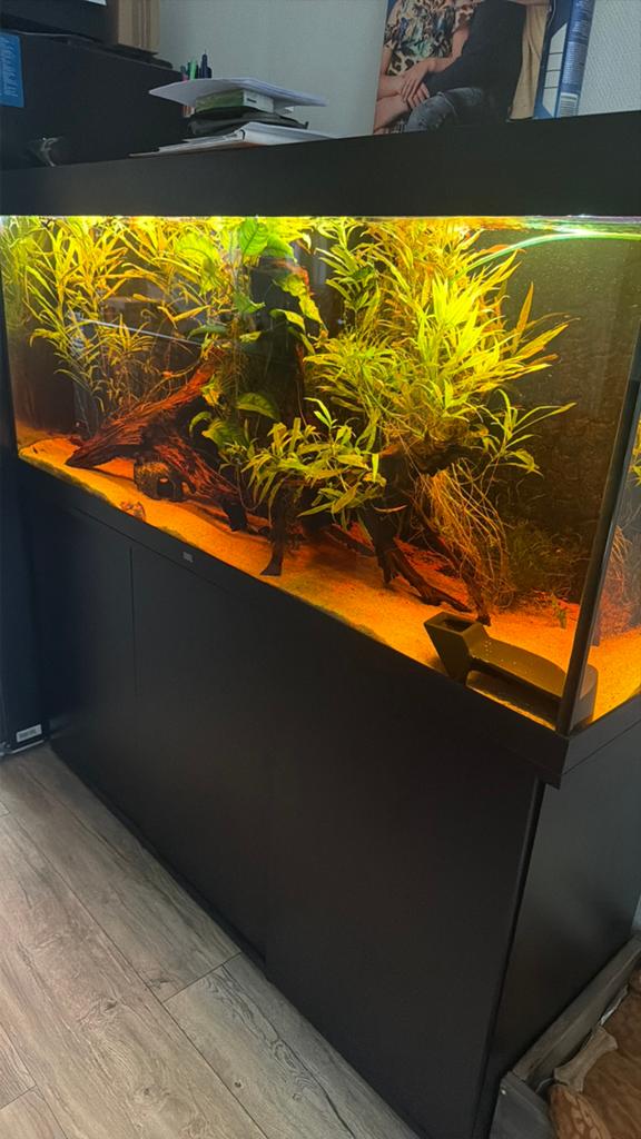 Juwel aquarium 150cm compleet, Dieren en Toebehoren, Vissen | Aquaria en Toebehoren, Ophalen, Zo goed als nieuw, Gevuld zoetwateraquarium
