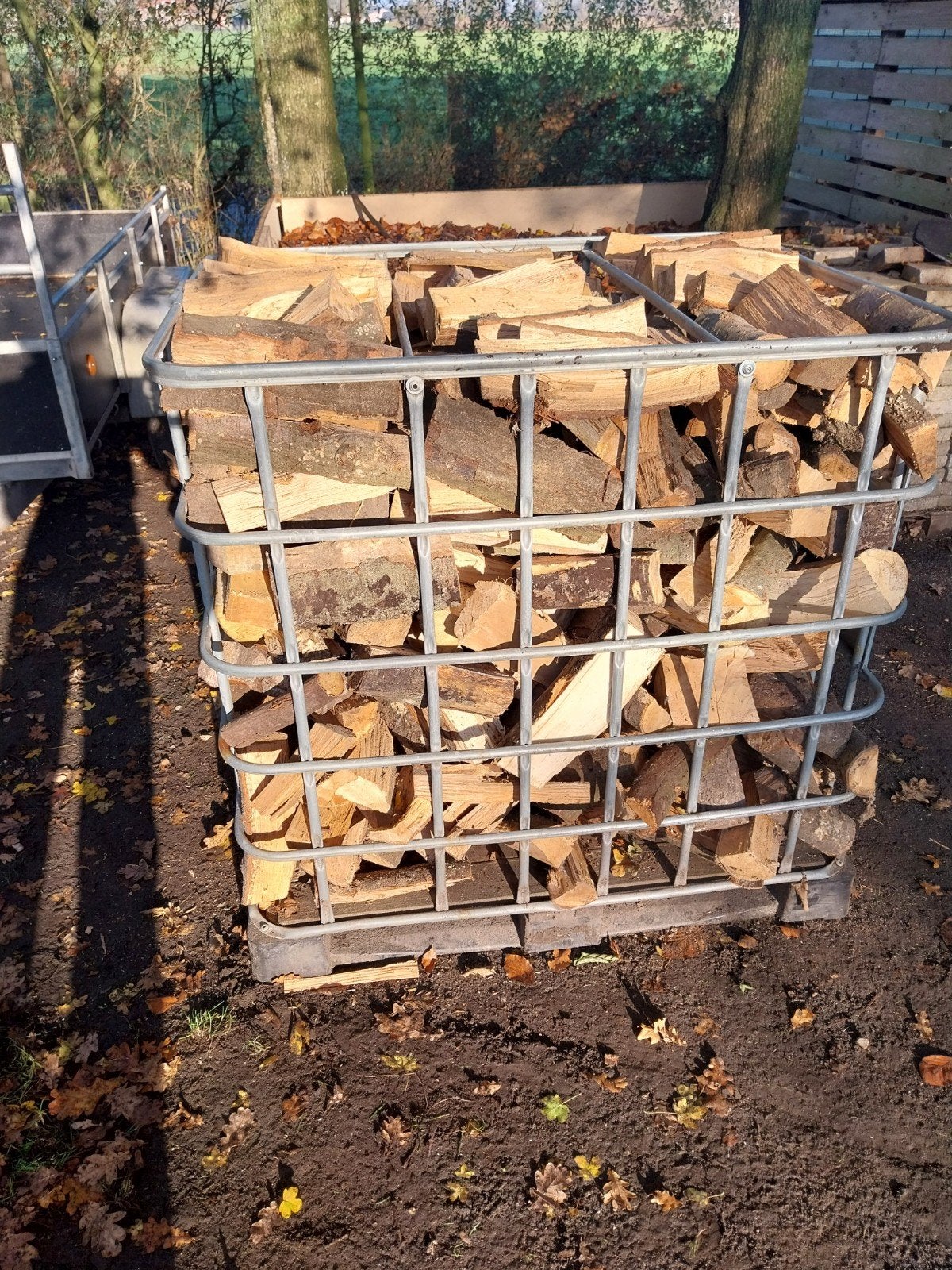 Gekloofd brandhout - eikenhout, Minder dan 3 m³, Ophalen, Eikenhout, Blokken