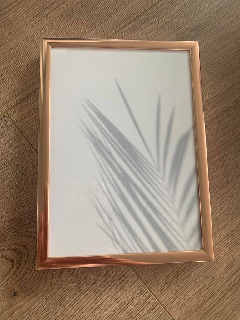 Rose gouden lijst met poster palm, Ophalen, Zo goed als nieuw