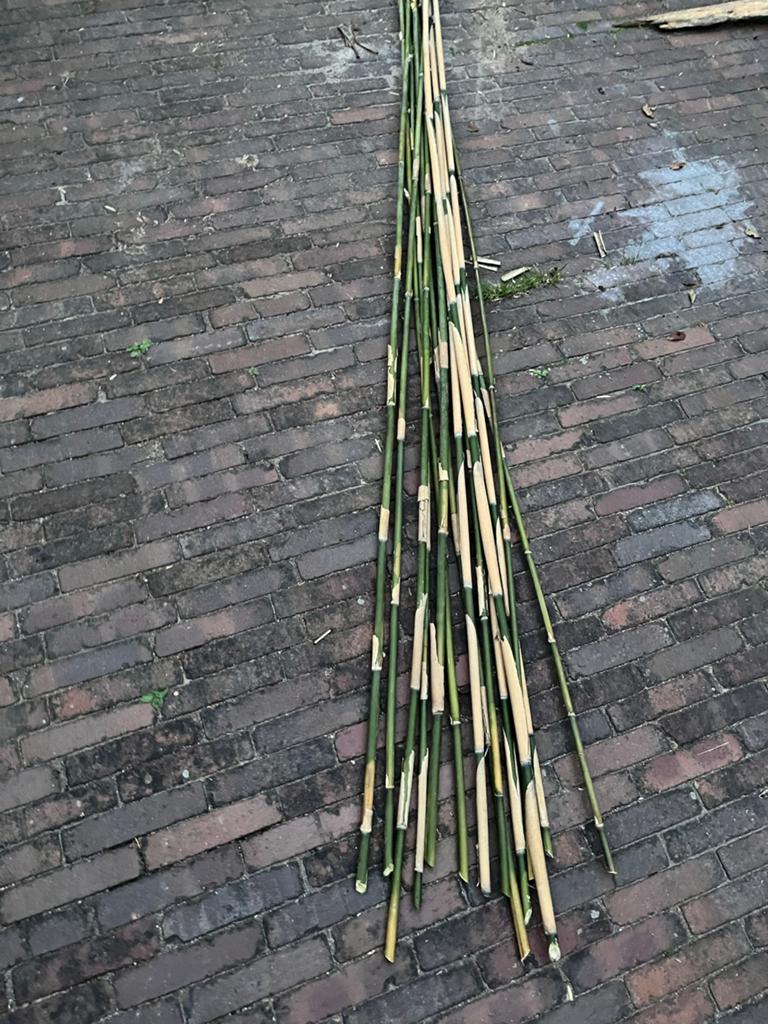 Bamboe stokken, Tuin en Terras, Ophalen