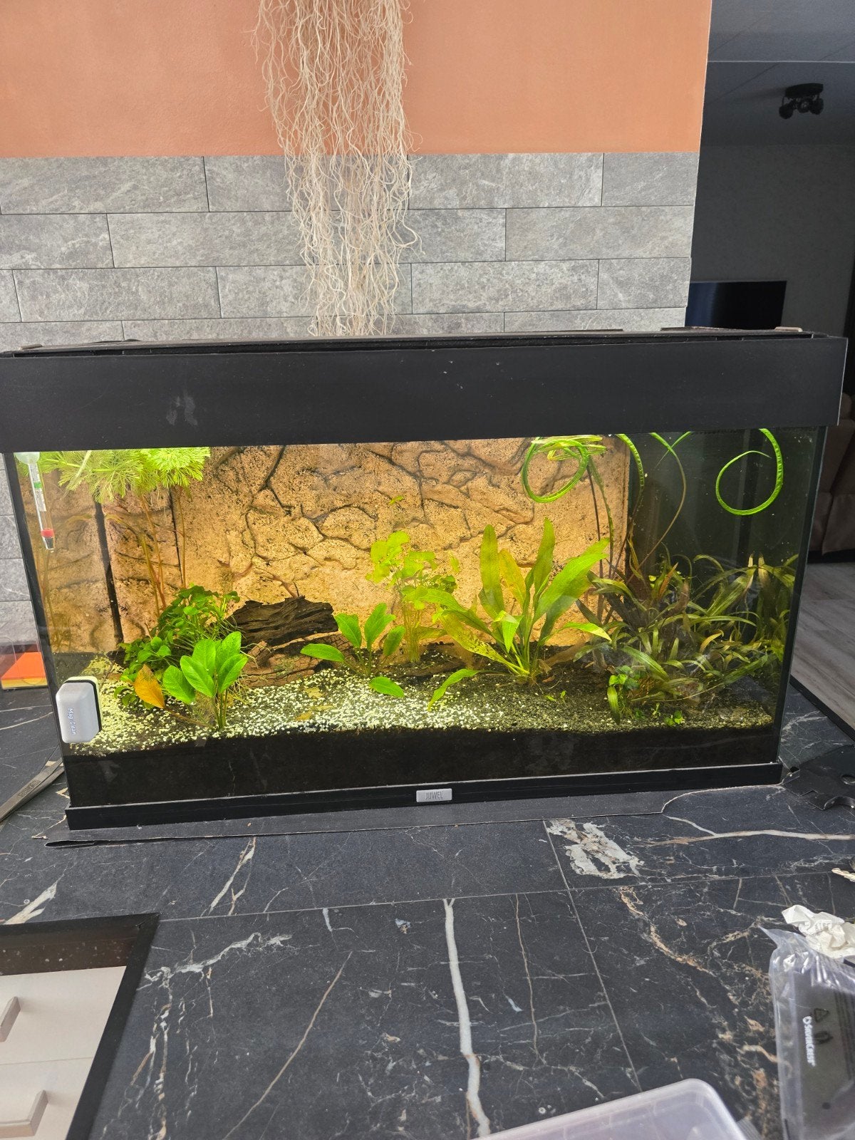 Juwel Aqarium compleet met meubel 80x35x52, Ophalen, Zo goed als nieuw, Leeg aquarium