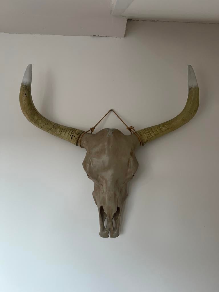 VT wonen skull  Buffel, Ophalen, Zo goed als nieuw, Beeldje of Figuurtje