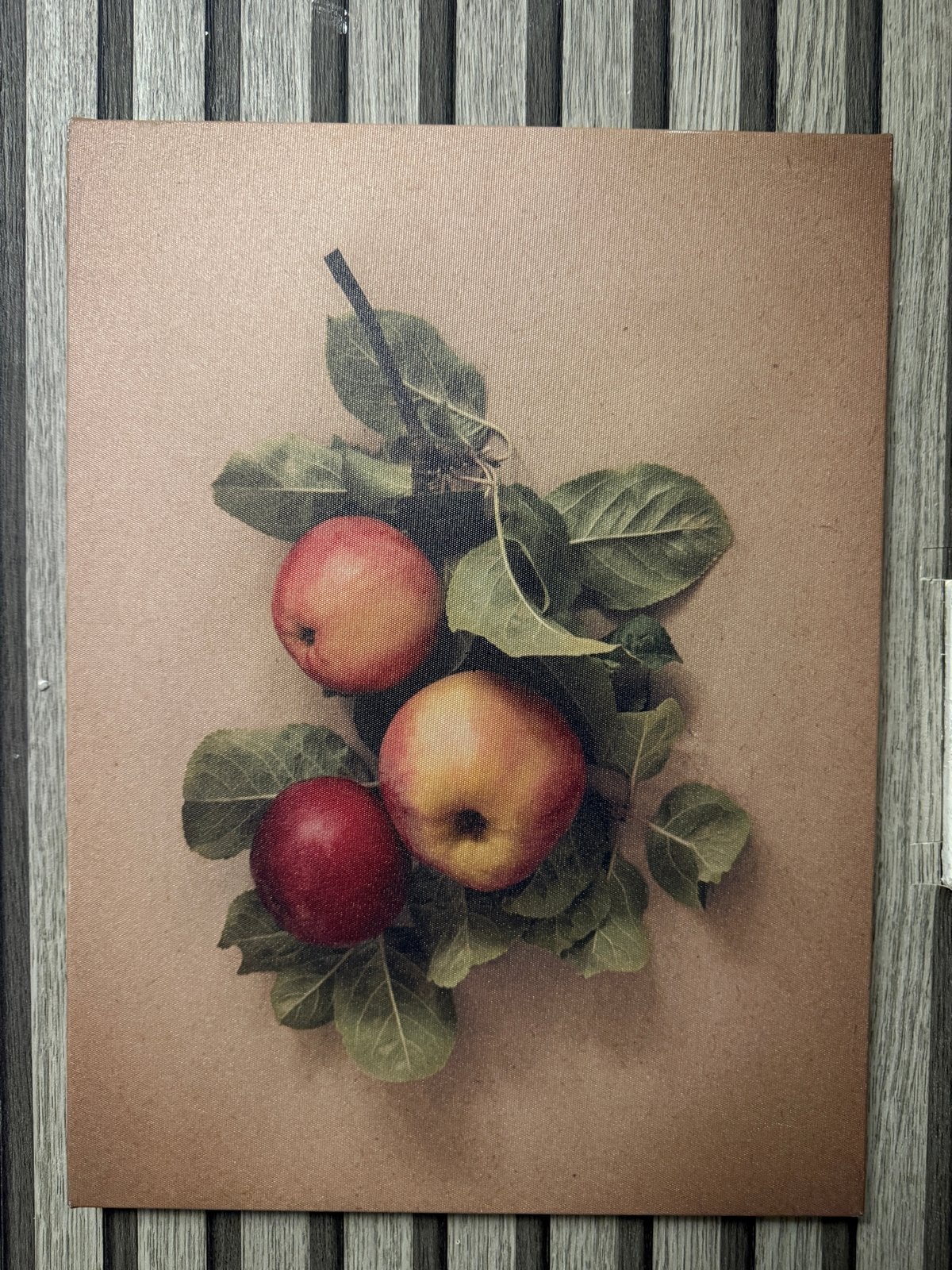 Schilderij met appels, Doek, Realistisch, Stilleven, Ophalen of Verzenden
