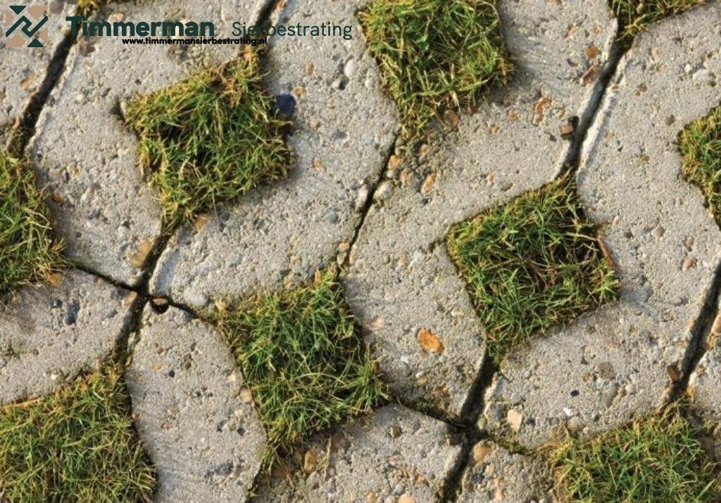 Grasbetontegels 60x40x12, rondom hol-dol, vlakke bovenzijde, Tuin en Terras, Tegels en Klinkers, Ophalen of Verzenden, Nieuw, Beton