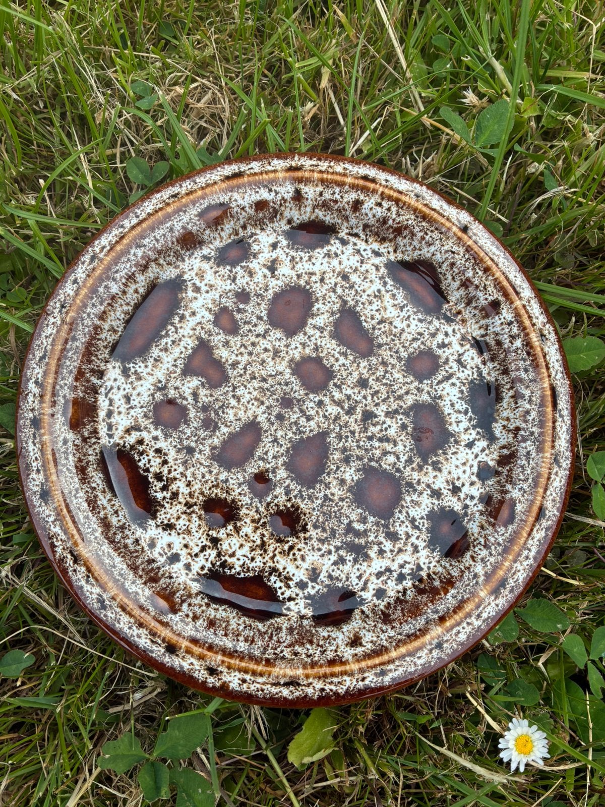 Vintage Fosters Pottery bord, Keramiek, Ophalen of Verzenden, Zo goed als nieuw, Bord(en)