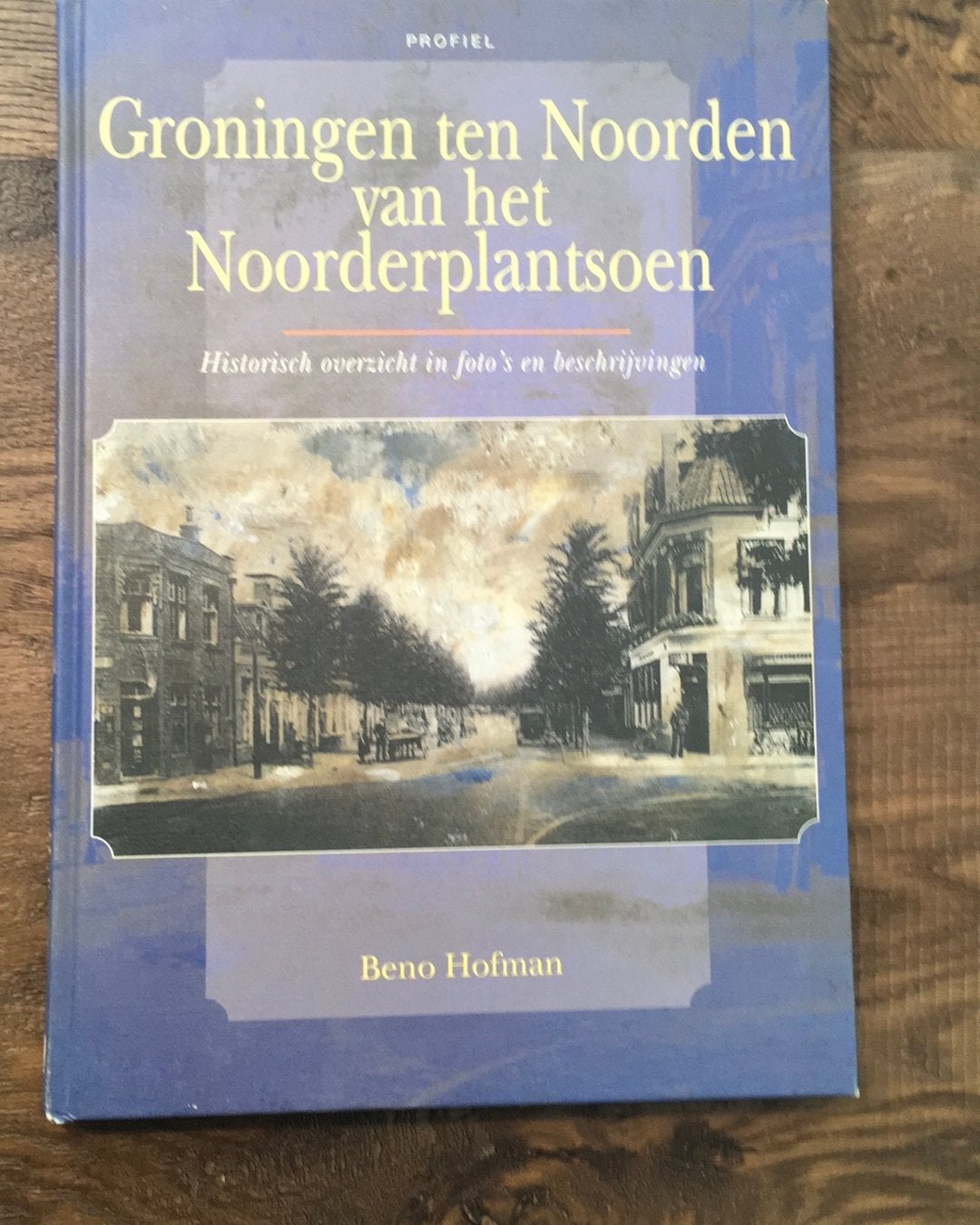Groningen ten Noorden van het Noorderplantsoen, Beno Hofman, Boeken, Ophalen of Verzenden, Zo goed als nieuw