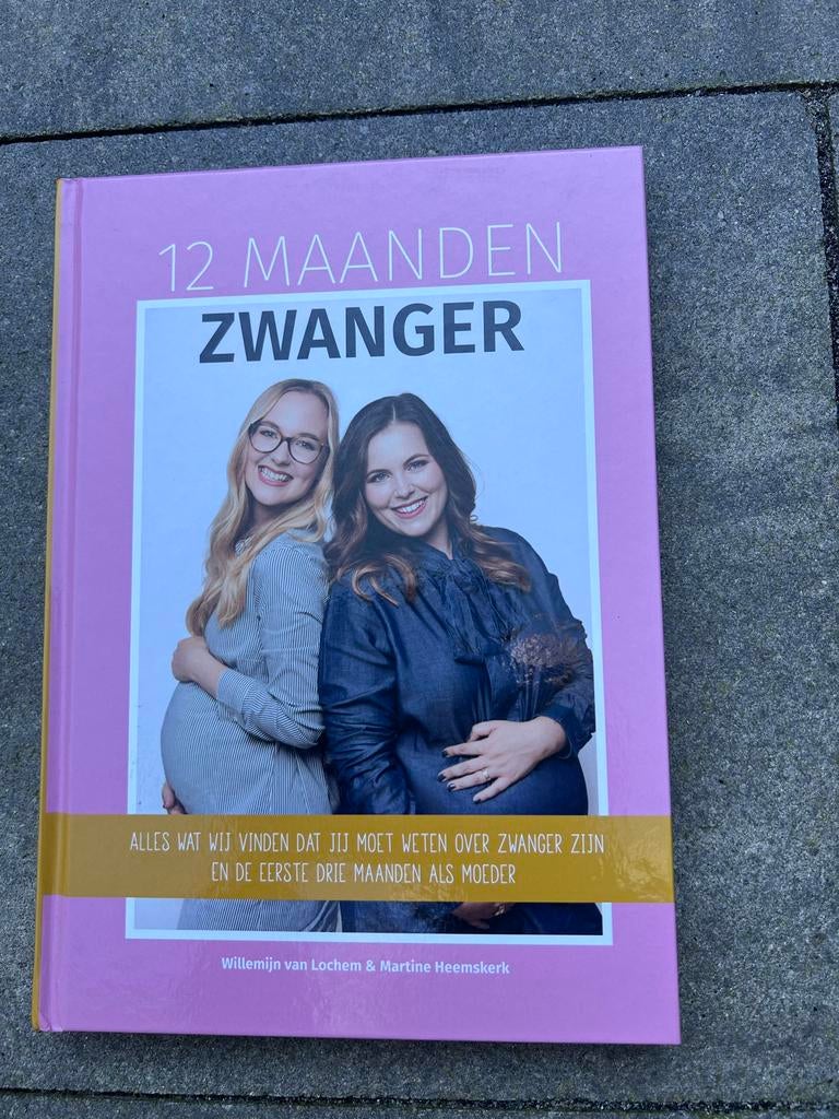 12 Maanden Zwanger boek, Boeken, Zwangerschap en Opvoeding, Ophalen of Verzenden, Zo goed als nieuw, Zwangerschap en Bevalling