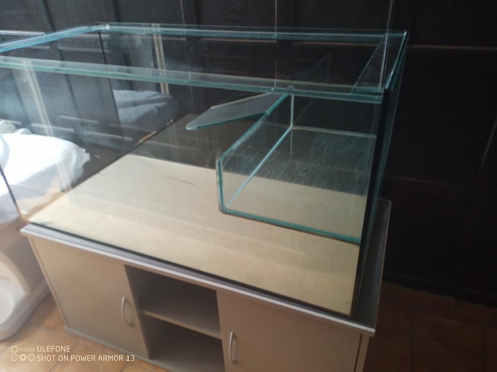 Vivarium plus kast, Ophalen of Verzenden
