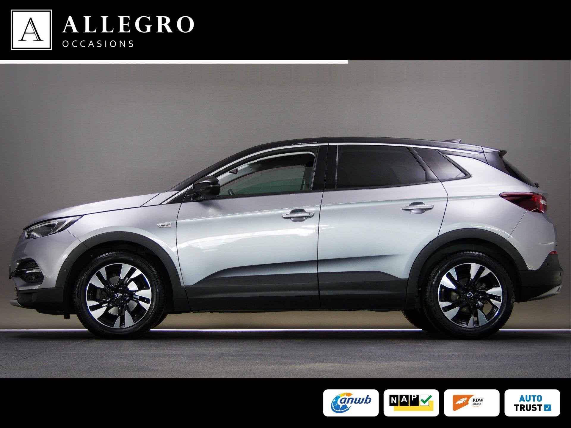 Opel Grandland X 1.2 Turbo Business Elegance (APPLE CARPLAY, Gebruikt, 1199 cc, Leder en Stof, Origineel Nederlands