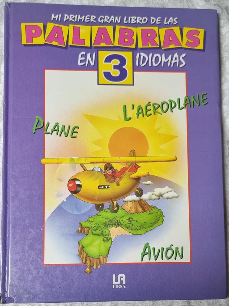Mijn Eerste Grote Woordenboek in 3 Talen, Verzenden, Zo goed als nieuw, Uitklap-, Voel- of Ontdekboek, 2 tot 3 jaar