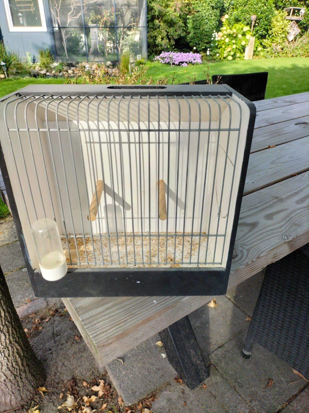 Te koop, Mannelijk