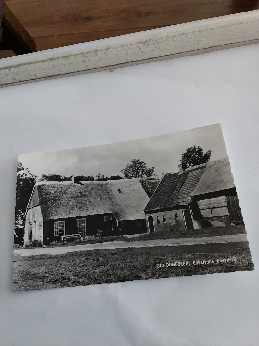 Oude ansichtkaart Schoonbeek Saksische boerderij, Ophalen of Verzenden, 1940 tot 1960, Ongelopen, Drenthe