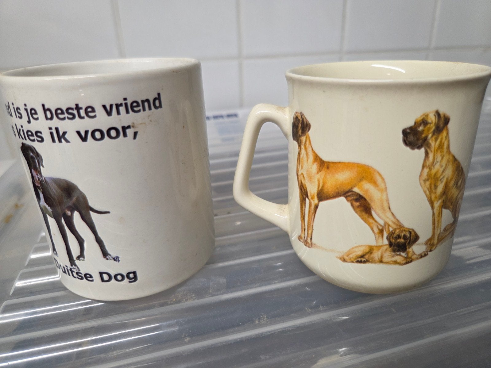 diverse duitse dog, Ophalen, Gebruikt, Dier