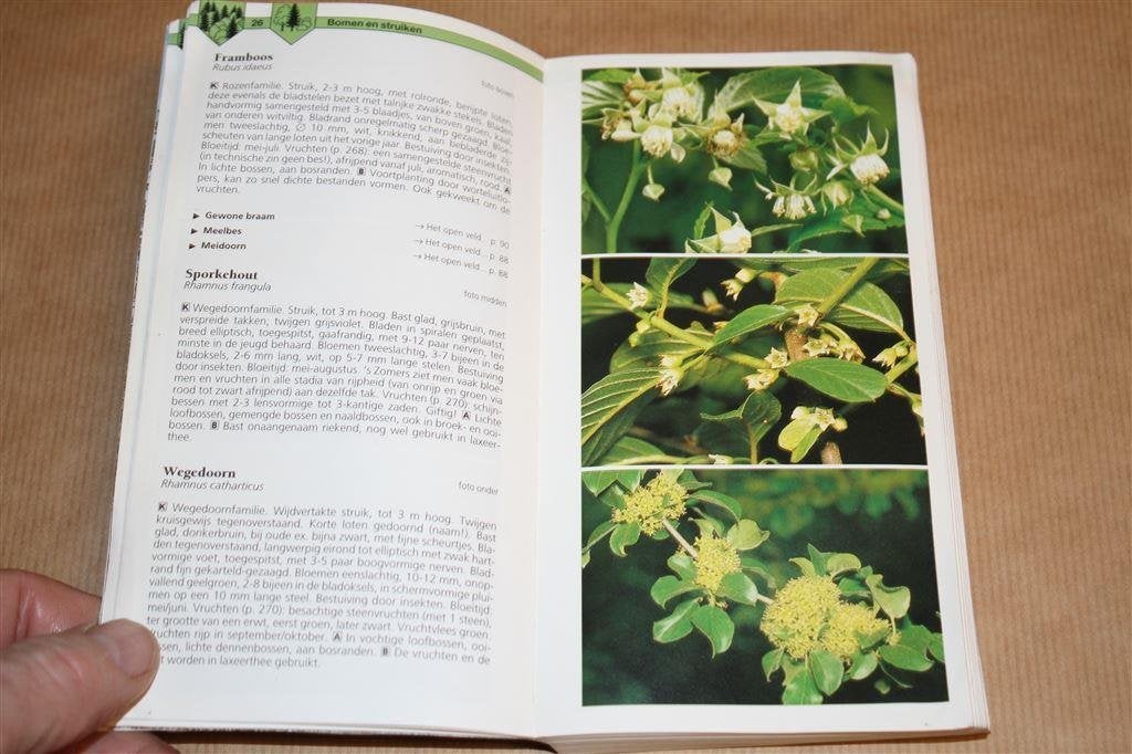 Thieme. De nieuwe dieren- en plantengids voor onderweg., Ophalen of Verzenden, Gelezen, Natuur algemeen