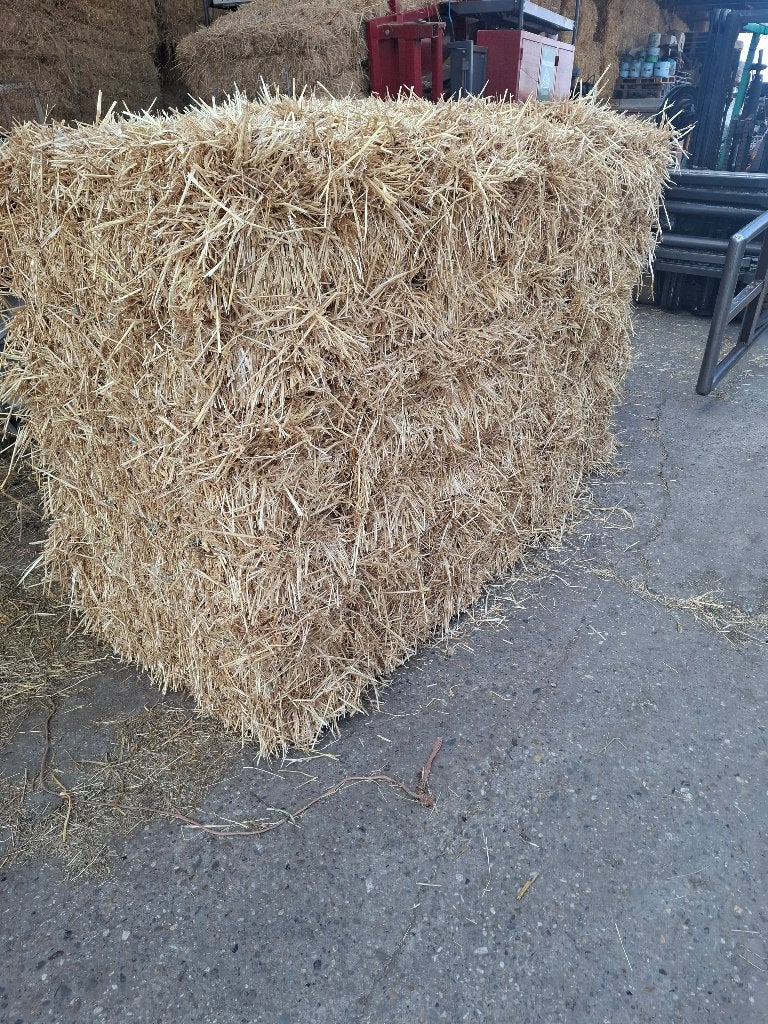 Spelt-stro in kleine balen/bundels, Stalling, 4 paarden of pony's of meer