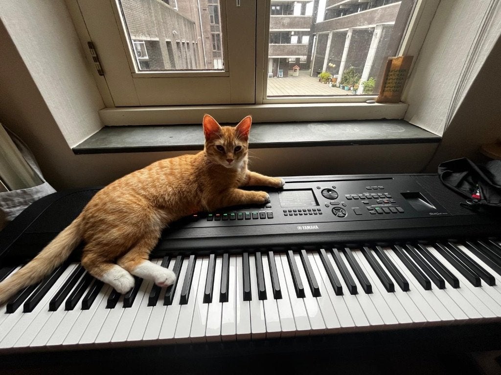 Yamaha DGX-670 B Digital Piano, Ophalen, Zwart, Digitaal, Zo goed als nieuw