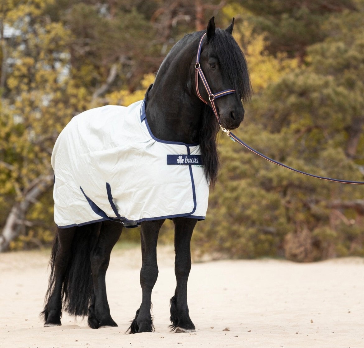 Bucas Power turnout light big neck zgan maat 5.9, Dieren en Toebehoren, Bucas, Linersysteem, Ophalen of Verzenden, Zo goed als nieuw