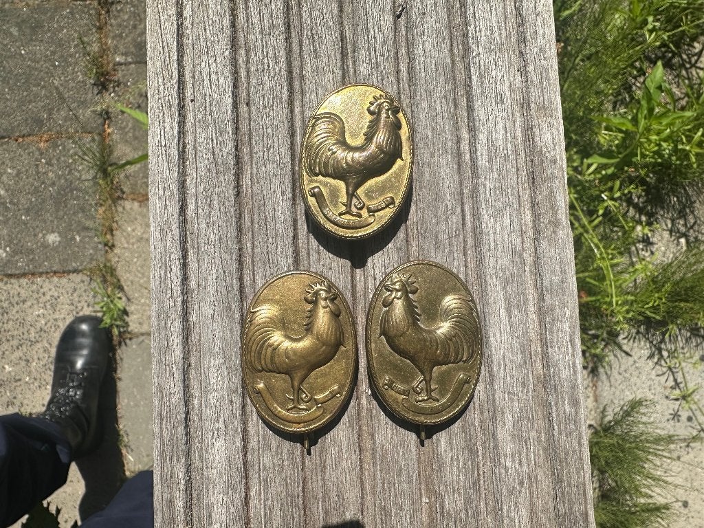 3x schouder embleem Bewakingskorps, Ophalen, Landmacht, Nederland, Embleem of Badge