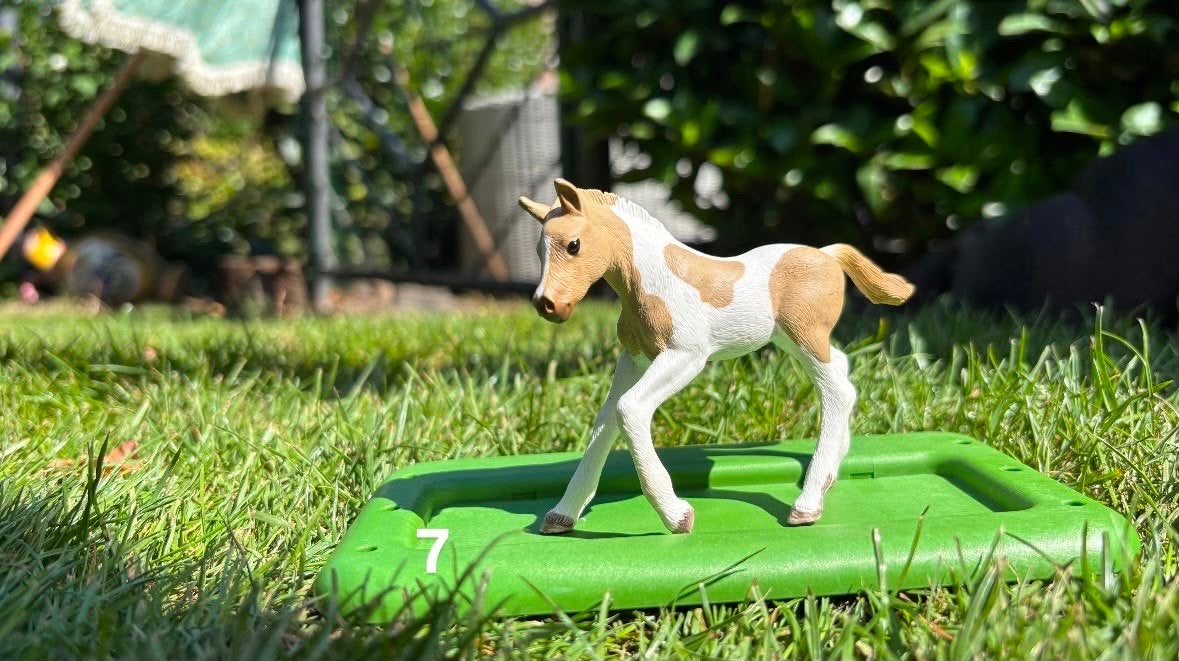 Schleich Shetlanders en veulens - diverse modellen, Ophalen of Verzenden, Gebruikt