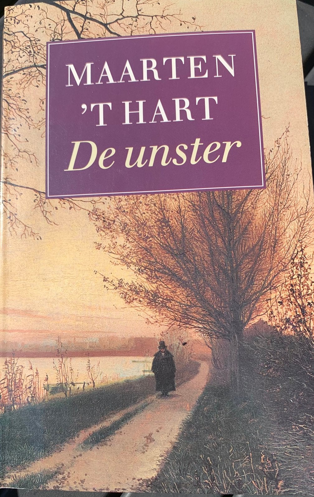 Boek - De Unster van Maarten ‘t Hart, Ophalen, Gelezen, Maarten ‘t Hart