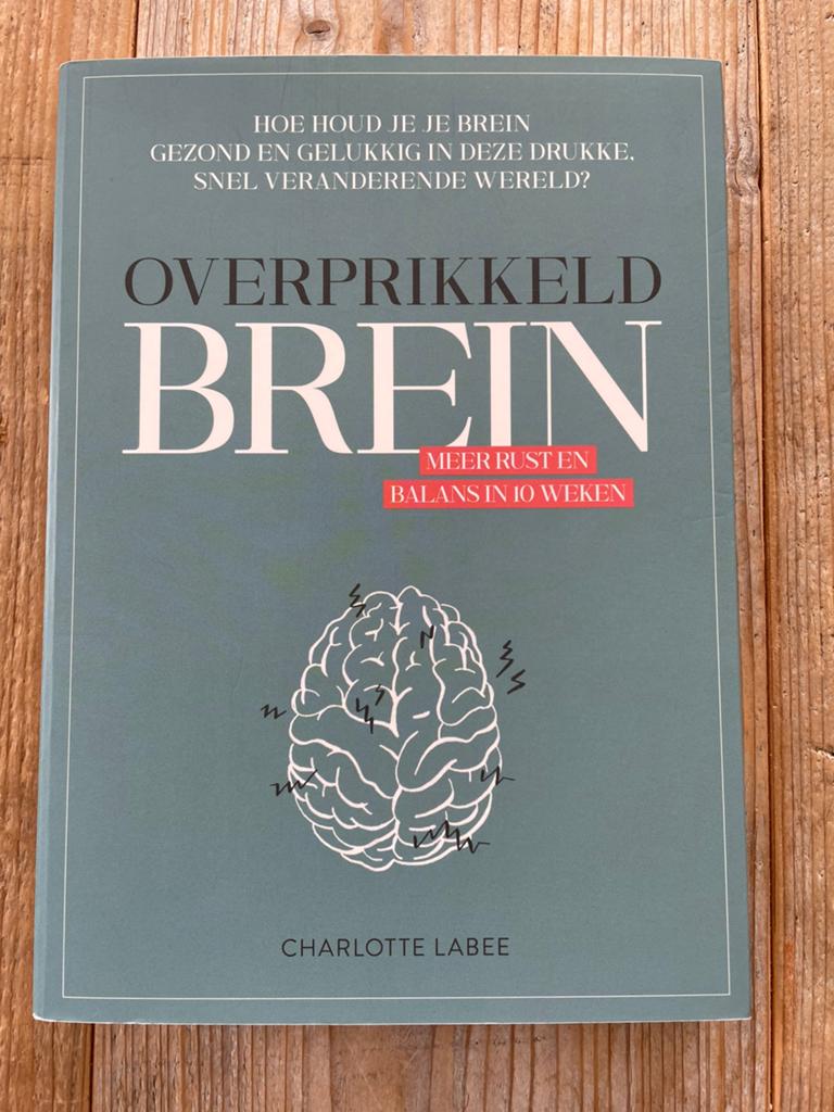 Overprikkeld brein - Charlotte Labee, Ophalen of Verzenden, Zo goed als nieuw