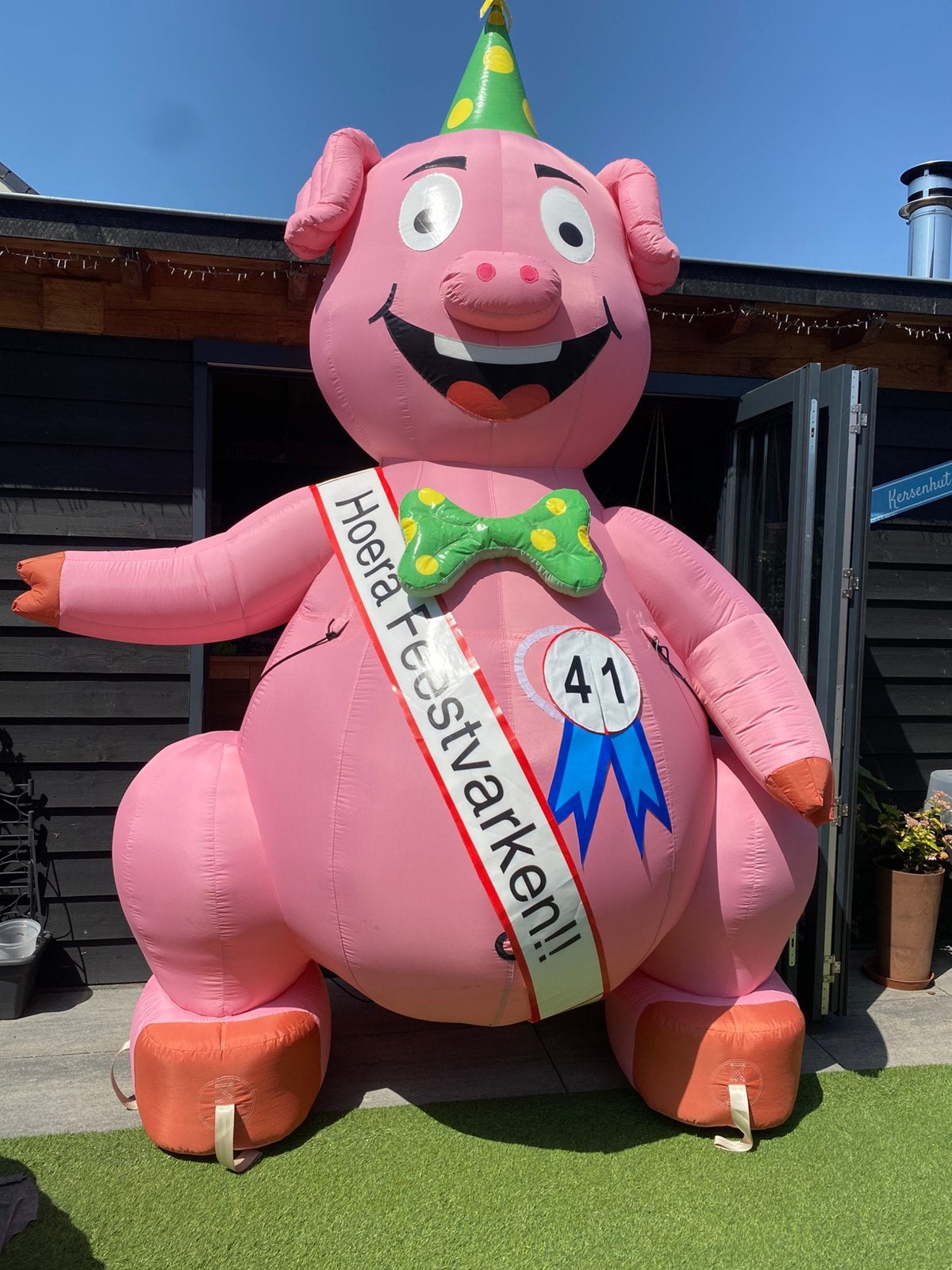 Feestvarken te huur!, Ophalen, Zo goed als nieuw, Verjaardag