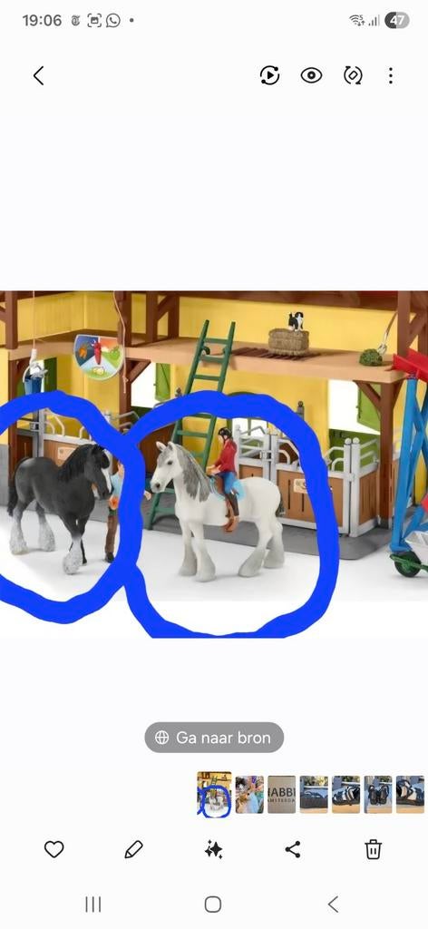 GEZOCHT! Deze 2 paarden, zie foto!, Ophalen of Verzenden, Jongen of Meisje
