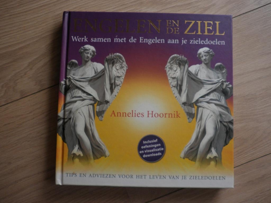 Annelies Hoornink - Engelen en de ziel HC, Verzenden, Zo goed als nieuw, Overige onderwerpen, Achtergrond en Informatie