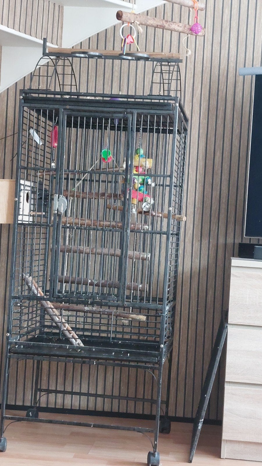 grote papegaaienkooi uitgerust, Dieren en Toebehoren, Vogels | Parkieten en Papegaaien