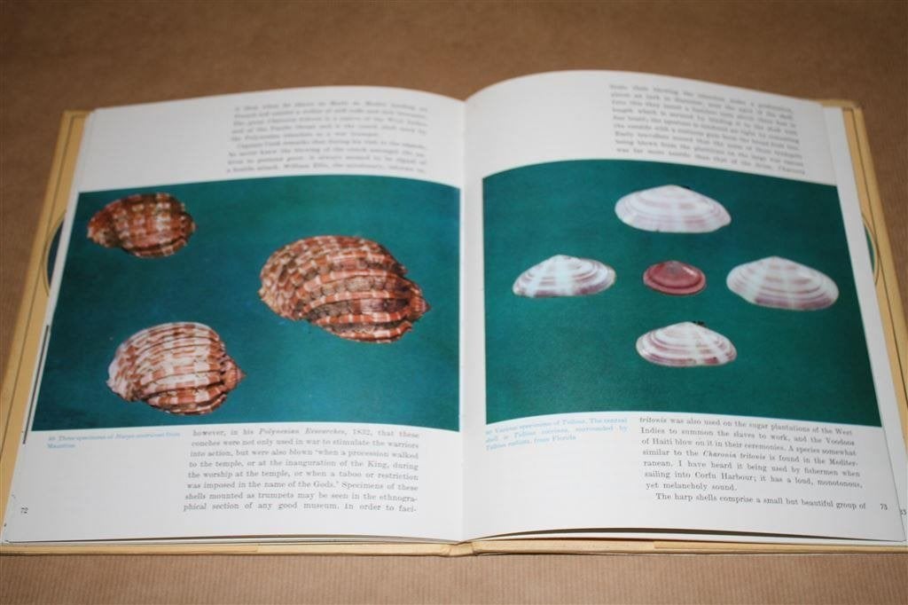 Boek over Schelpen. Shells. Roderick Cameron., Ophalen of Verzenden, Schelp(en)