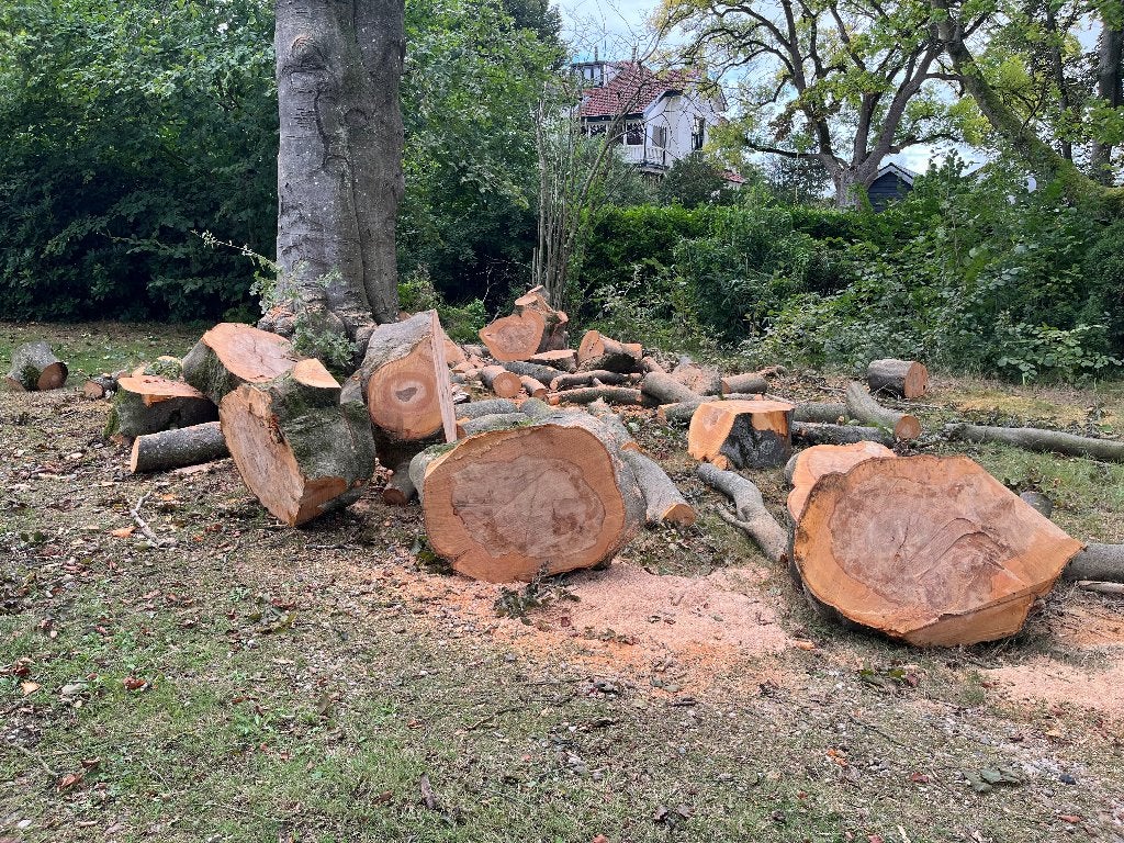 Haardhout / brandhout ongekloofd - ca. 6 kuub, Tuin en Terras, Minder dan 3 m³, Ophalen, Beukenhout