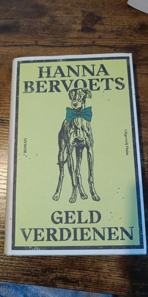 Hanna Bervoets Geld Verdienen, Hanna Bervoets, Ophalen of Verzenden, Zo goed als nieuw, Nederland