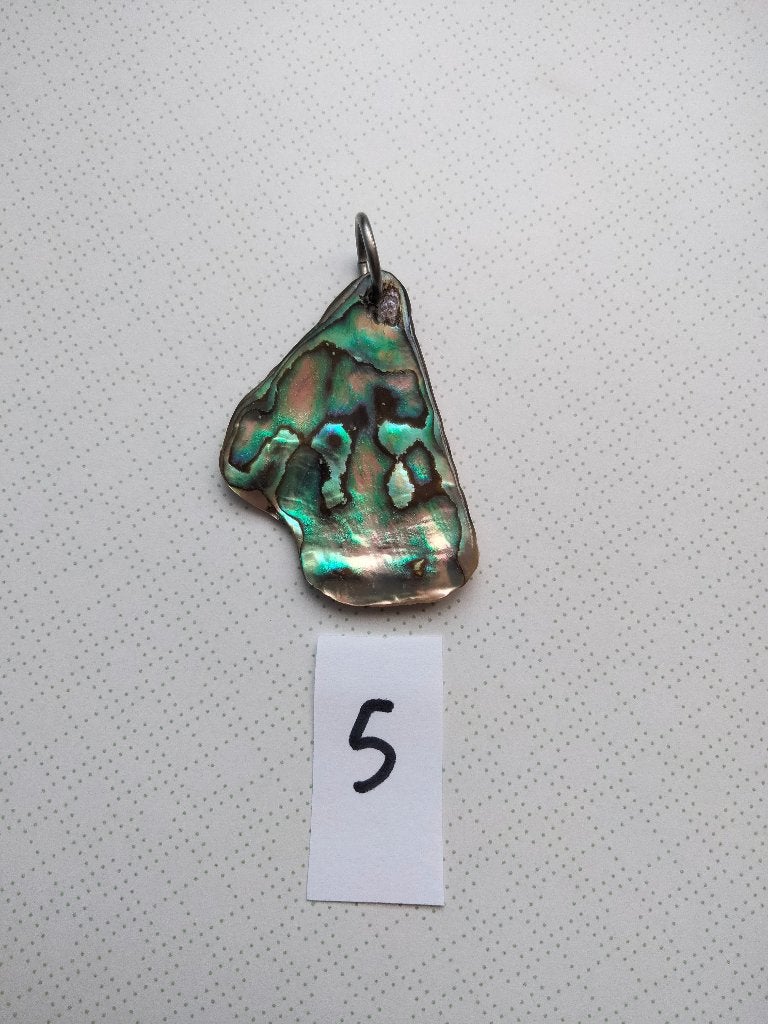 Prachtige Abalone Schelp Hanger - Uniek en Kleurrijk, Ophalen, Overige materialen, Overige voorstellingen, Nieuw