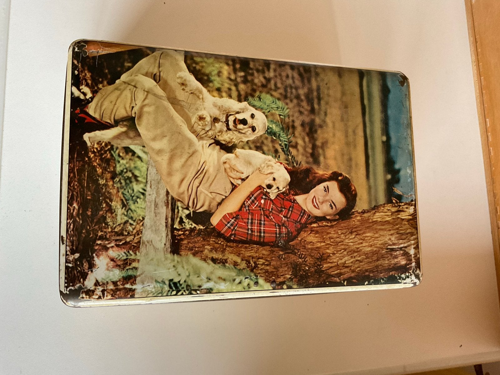Vintage blikken doos met afbeelding van vrouw en honden, Ophalen of Verzenden