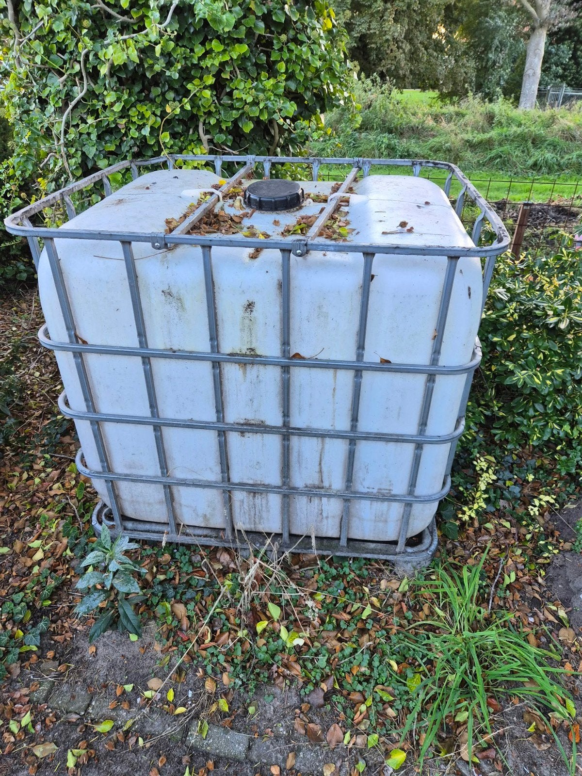 IBC container - gebruikt, moet nog schoongemaakt worden, Ophalen, Gebruikt