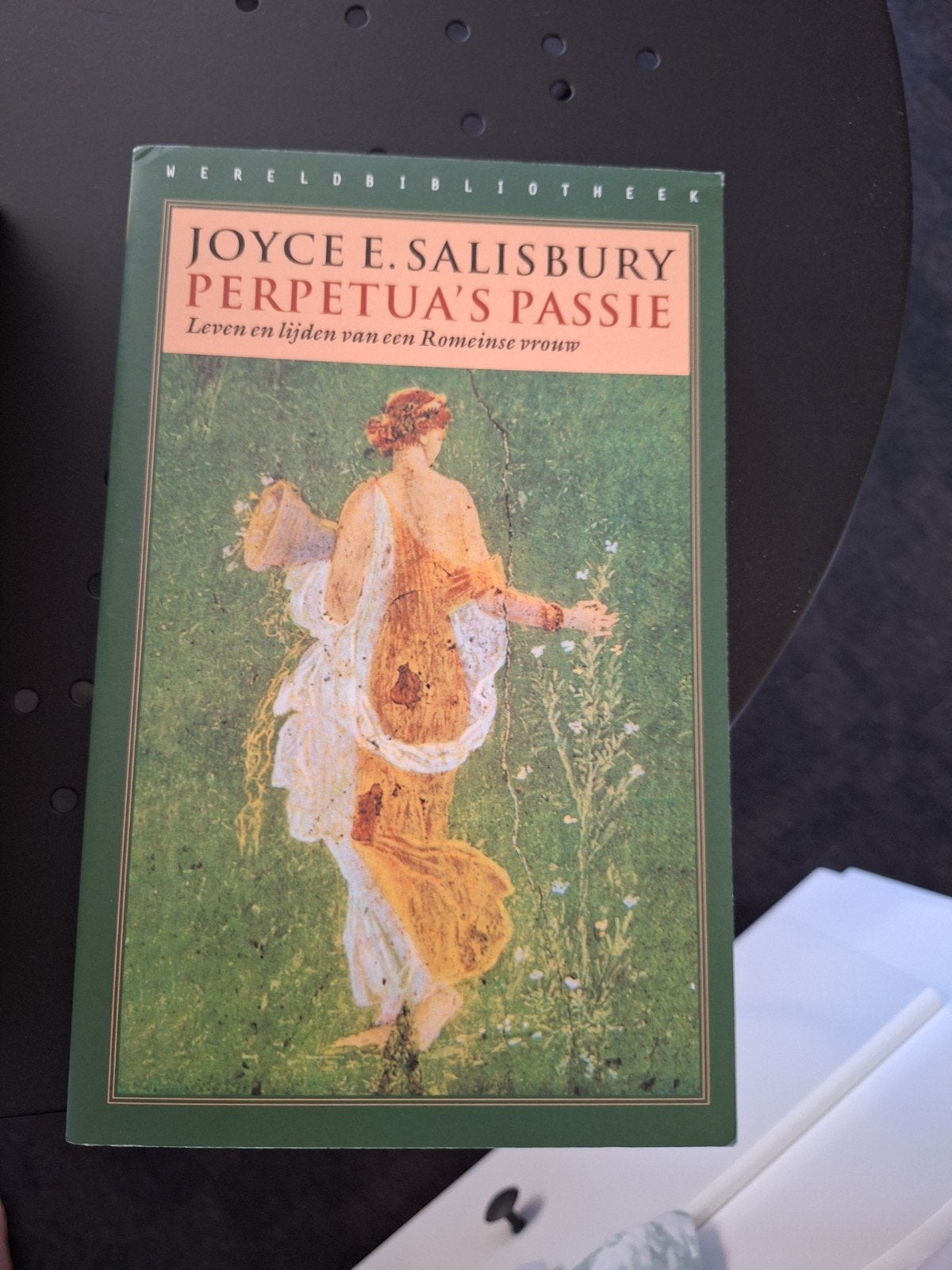 Perpetua's Passie - Joyce E. Salisbury (Wereldbibliotheek), Ophalen of Verzenden, Zo goed als nieuw, Nederland, Joyce E. Salisbury