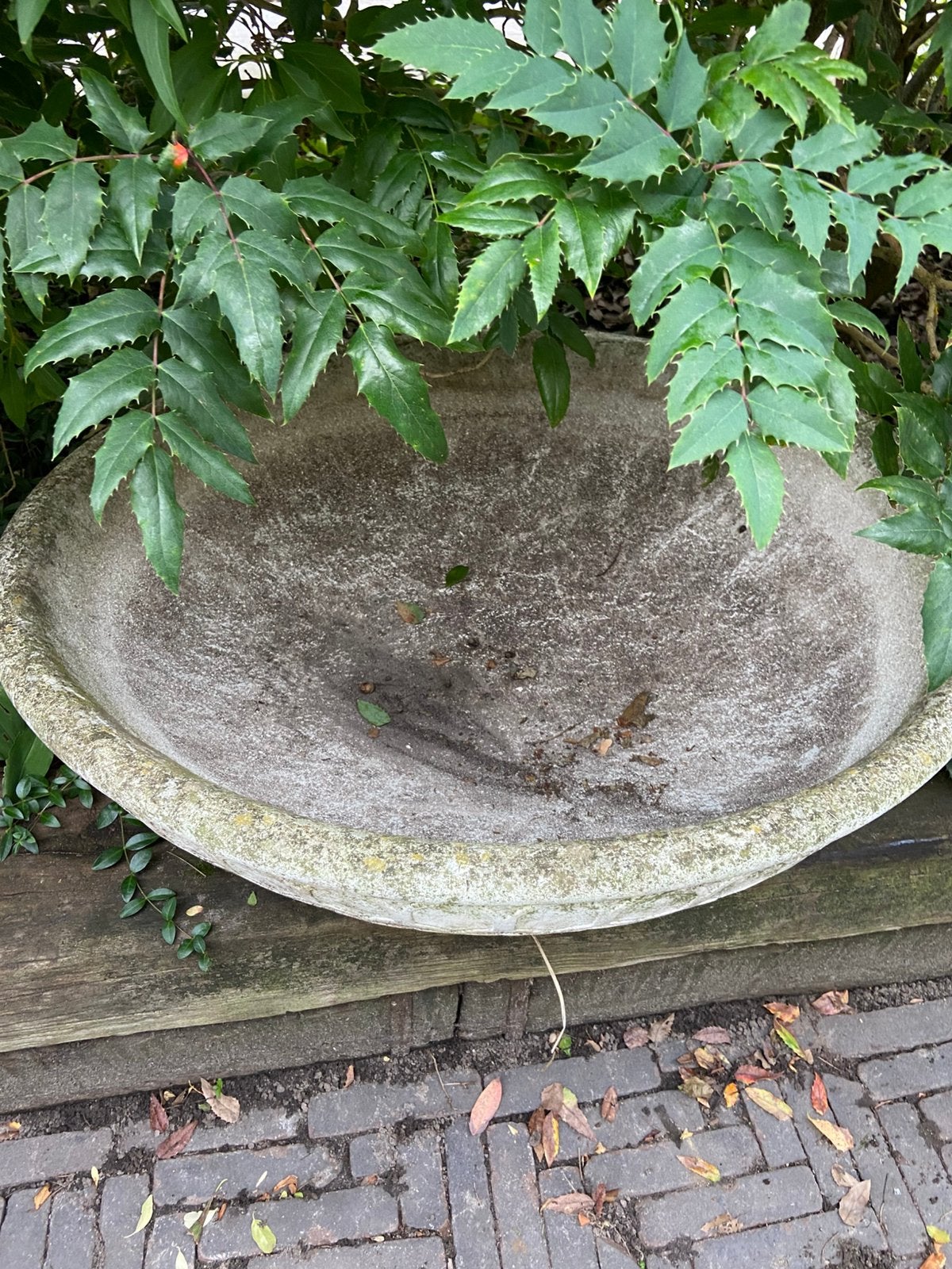 Betonnen plantenschaal, bloembak. Vijverbak, Ophalen, Minder dan 30 cm, Rond, Zo goed als nieuw
