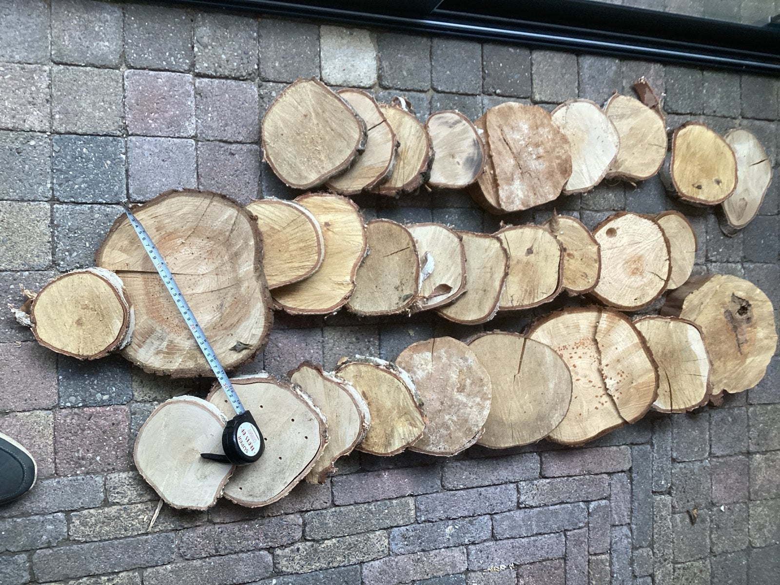 Droge berkenboom schijven 29 st voor decoratie en knutselen, Ophalen, Zo goed als nieuw