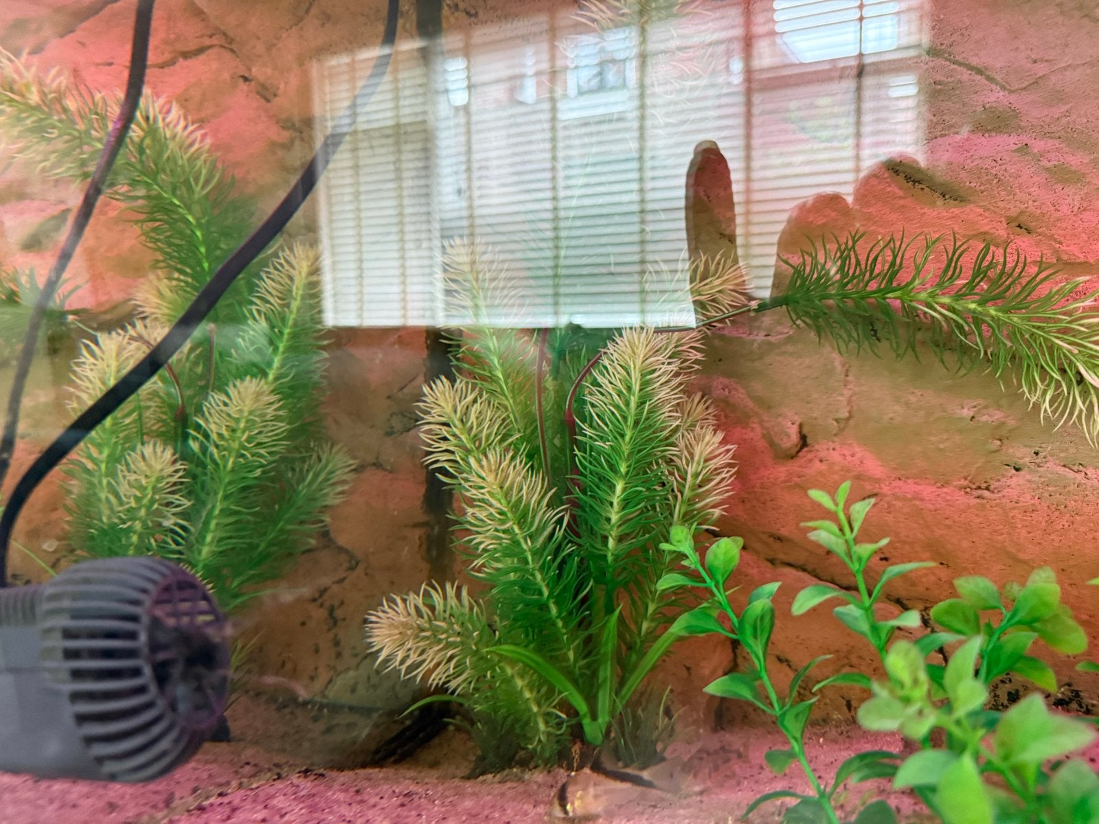 Juwel aquarium 180l, Dieren en Toebehoren, Ophalen, Inclusief vissen, Juwel, Gevuld zoetwateraquarium
